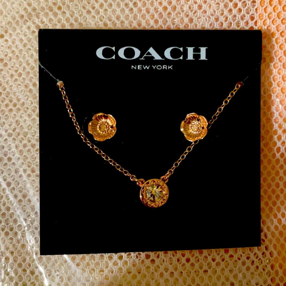 Necklace diamond in center w earrings